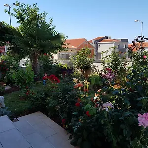 Lili Zadar